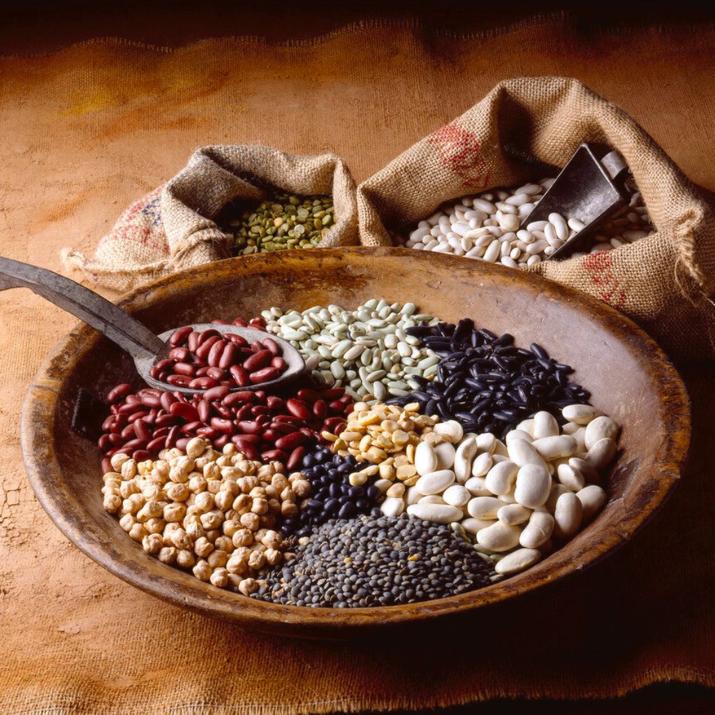 Pulses