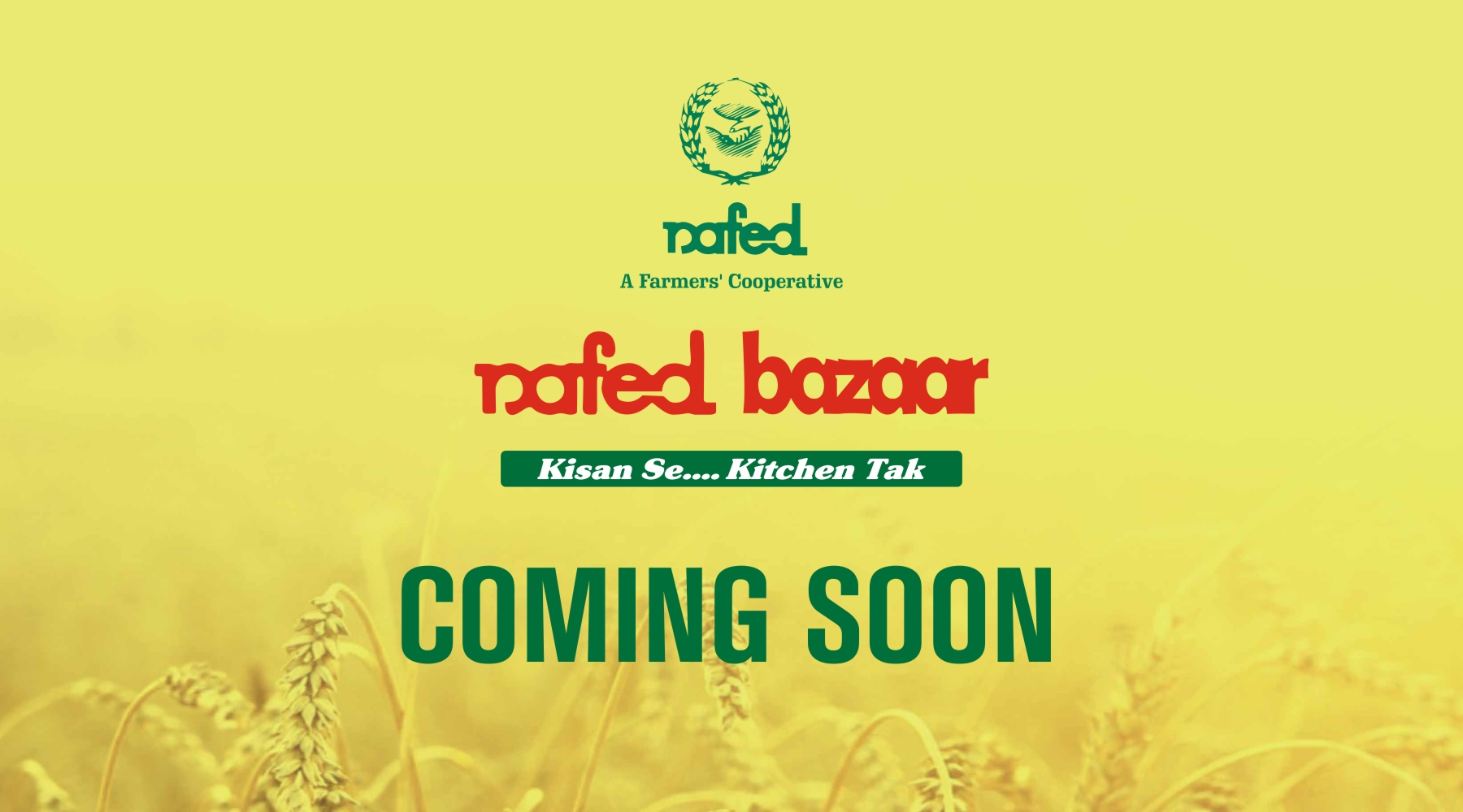 Coming Soon Desktop Web Banner