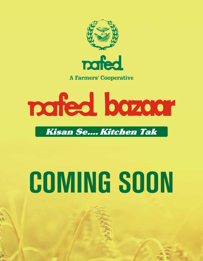 Coming Soon Mobile Web Banner